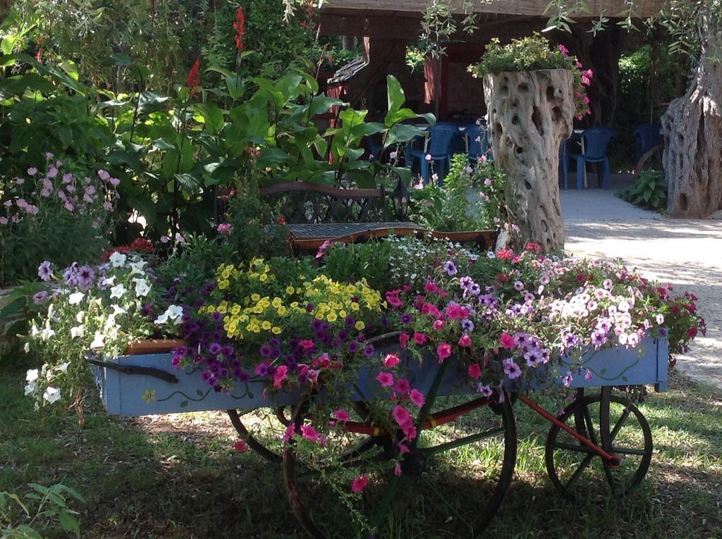 Aneton Aparthotel Chrysi Ammoudia Exterior photo