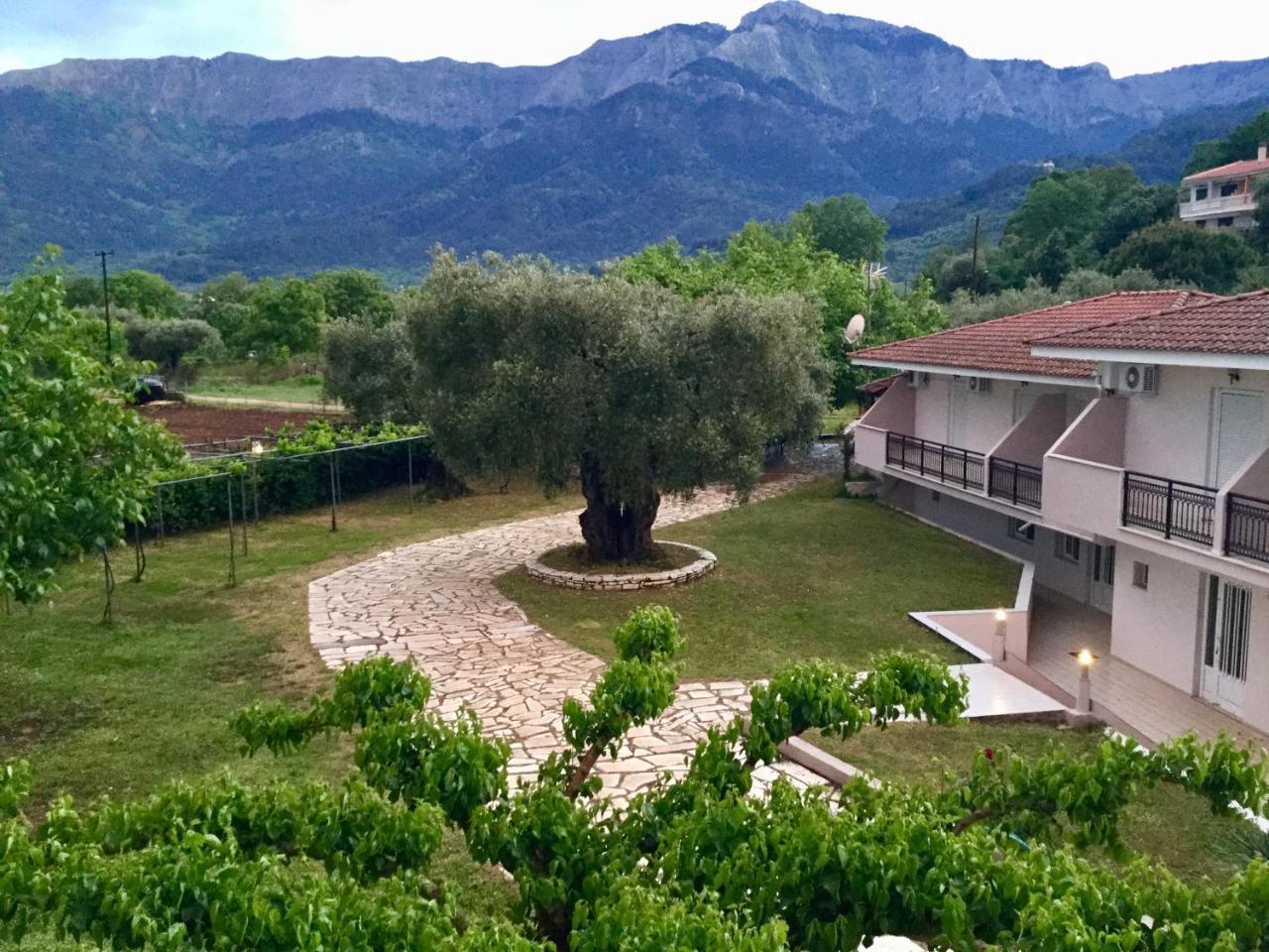Aneton Aparthotel Chrysi Ammoudia Exterior photo